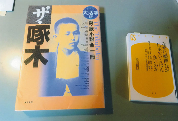 「ザ・啄木」読みました