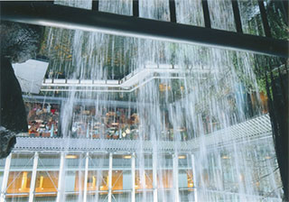 滝の内側から撮りました