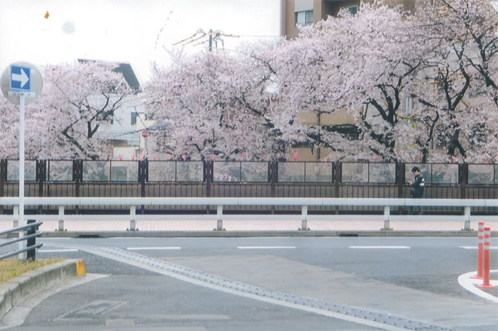 「桜川橋」というんですね