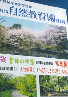 目黒の自然教育園