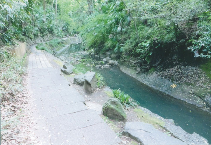 等々力渓谷です