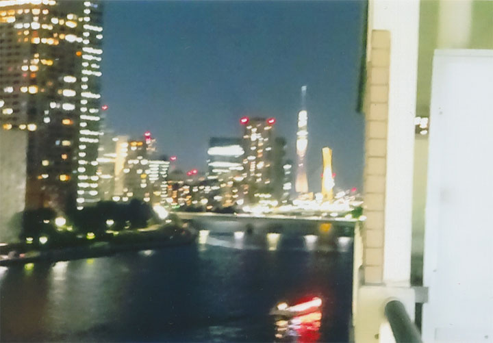 反対側にはスカイツリーが