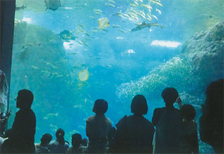 皆、ジーッと見てます