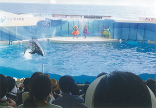 イルカショー