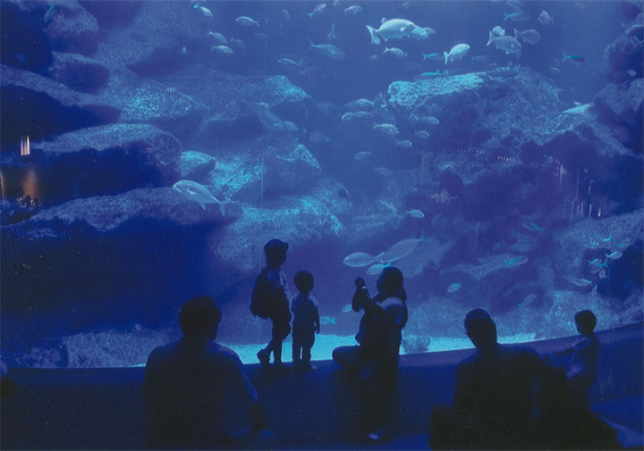 すみだ水族館