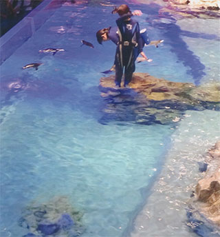 ペンギン館で