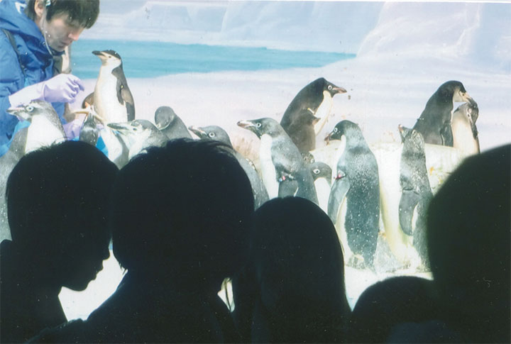 ペンギン・ランドです