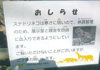 見れないかも…