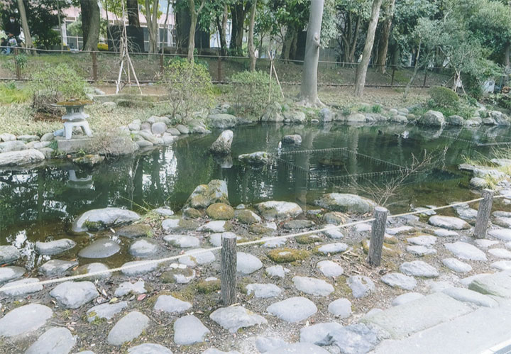 公園の中ですね