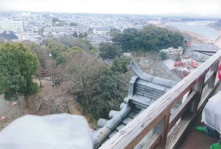 上まで登りました