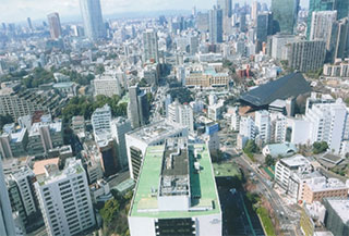 だから登りました