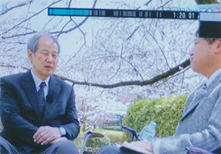 哲学堂公園の桜の下で