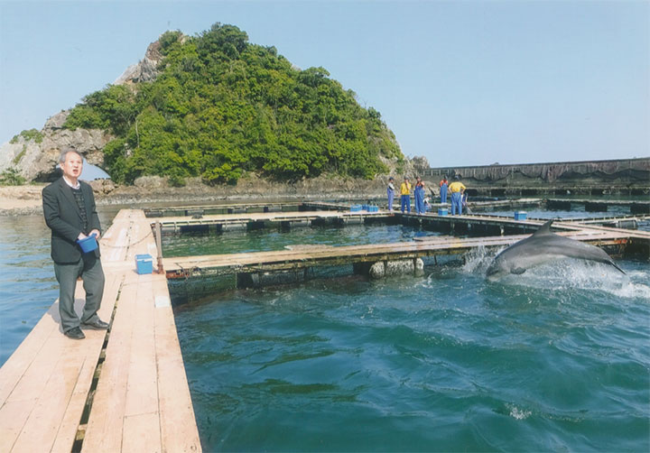 イルカにエサをやる