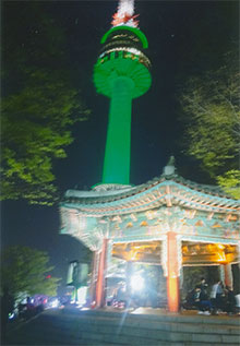 ゴンドラで山頂へ。そしてタワーへ