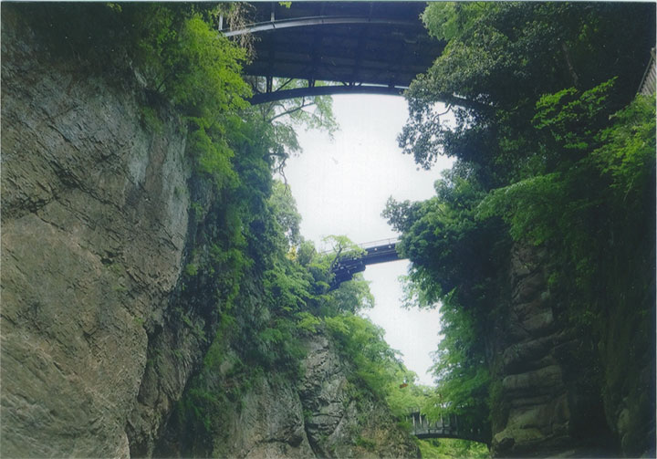 下から見ても、すごいです