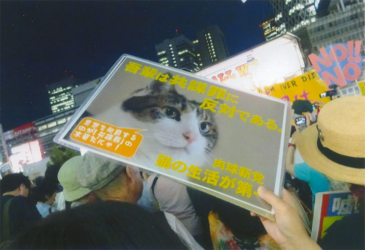 猫も反対しています