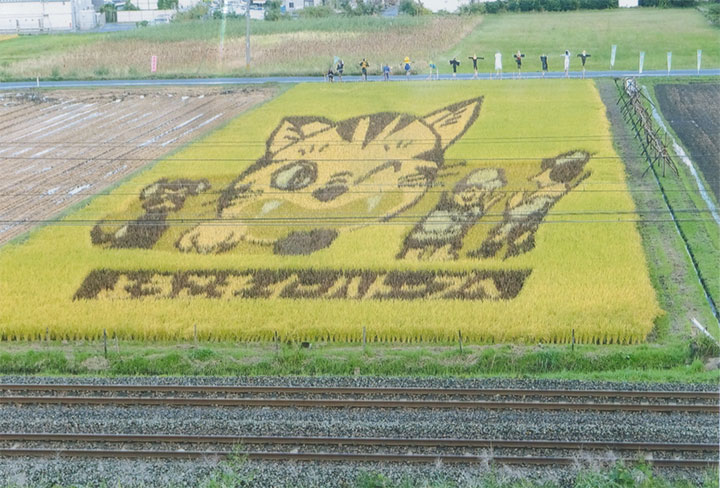 見事な「作品」です