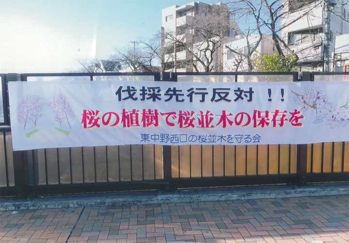「東中野の桜を守れ！」