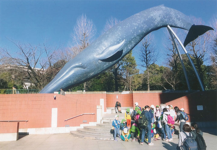 巨大なクジラが！