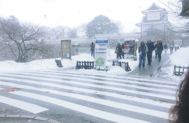 兼六園も大雪です