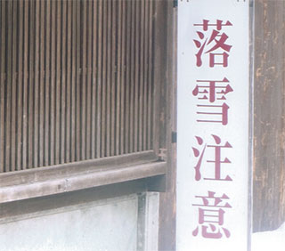 屋根からよく落ちてきます