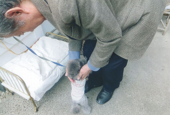 懐いてきたので