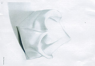 布のナプキンかと思ったら…