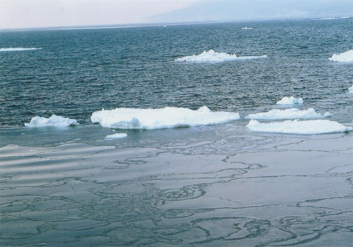 流氷です