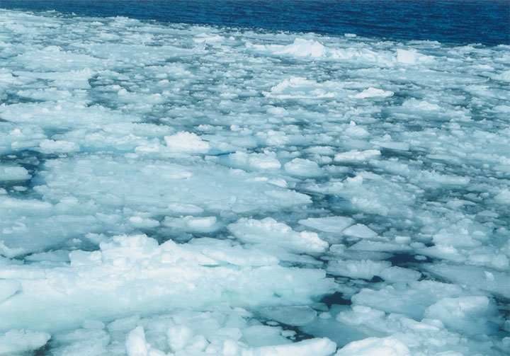 流氷です