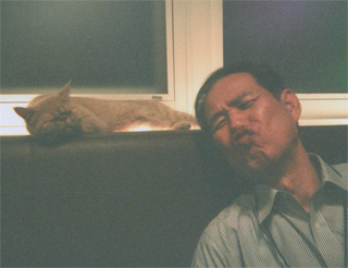 「猫カフェ」で