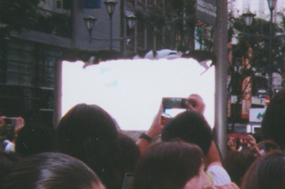 白い看板の上に５匹の猫が…。騒然とする新宿高野前です（9/23）