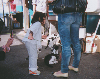 付いて行ったら、猫の共和国だった