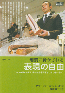 『刑罰に脅かされる表現の自由』（現代人文社）