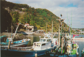 富戸港です。手前の船に乗りました。光海丸です