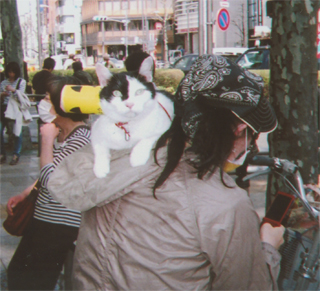 ネコも「反原発」のプラカードを