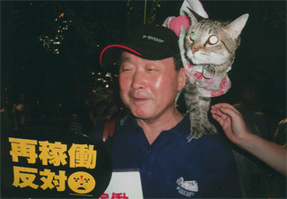ニャンコもデモに参加