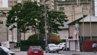 家の近くの「奇跡の一本松」