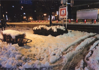 落合は雪でした