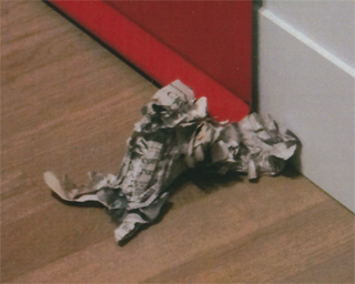 落ちていた紙くずが動き出した！