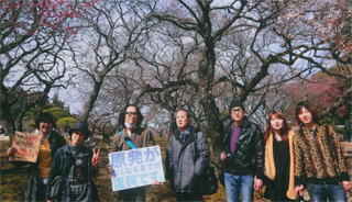 梅は少ししか咲いてませんが…