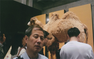 これも「グレート・ジャニー」