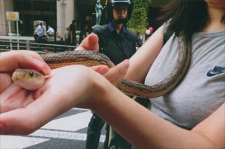 ヘビも参加してました