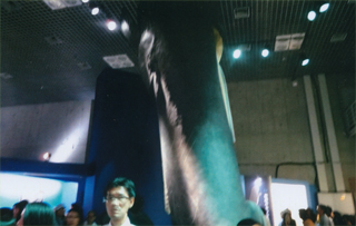 これはクジラの頭です