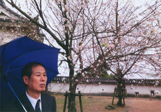 なんと、桜が咲いてました！