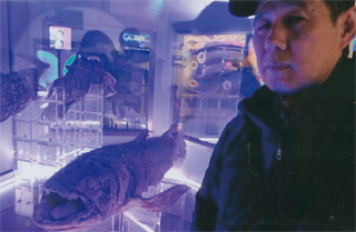 シーラカンスです