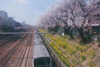 電車もゆっくり走ります