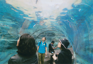 下から見ています