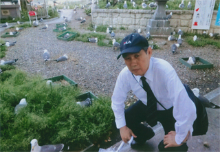 海猫だらけです