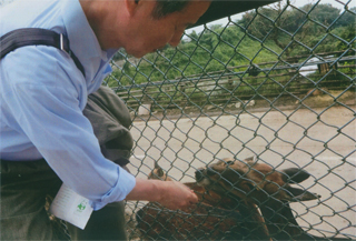 餌をやってます