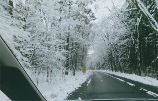 小岩井農場へ行く道で
